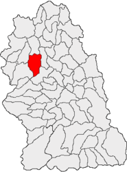 Location in Hunedoara County