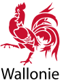 Logo utilisé par le Gouvernement wallon pour l'identité visuelle de l’administration régionale et des services associés à la Région wallonne (2010).