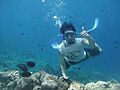 Bunaken suvosti parki, Shimoliy Sulawesi