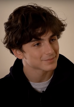 L'actor Timothée Chalamet, en una imachen de l'anyo 2019.