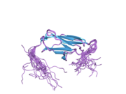 2cr6: Solution structure of the Ig domain (2998-3100) of human obscurin