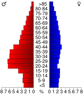 Bevolkingspiramide Johnson County