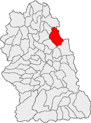 Location in Hunedoara County