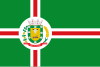 Flag of Aral Moreira