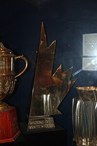 Canada Cup in Hockey Hall of Fame.jpg