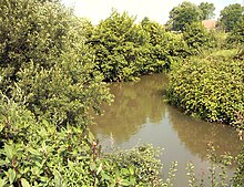 La Liane à Hesdigneul-lès-Boulogne.