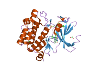 2oi4: Crystal structure of human PIM1 in complex with fluorinated ruthenium pyridocarbazole