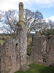 14th-century chimney in the north block.