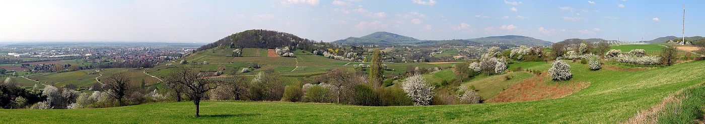 Frühling an der Bergstraße zwischen Bensheim und Heppenheim. Links im Panorama ist Bensheim in der Rheinebene zu erkennen. Der markante Berg rechts von Bensheim ist der Hemsberg. Weiter rechts davon im Hintergrund liegen der Melibokus und der Felsberg.