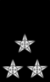 Distintivo de passadeira (depois de 1977)