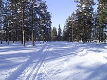 Fotografía de una pista de esquí de fondo preparada y cubierta de nieve
