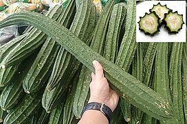 Luffa acutangula, frutos imaturos à venda num mercado asiático.