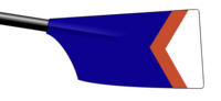 Image showing the rowing club's blade colours