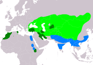 Natura arealo ﻿ Reproduktaj teritorioj ﻿ Ĉiujare prezencoj ﻿ Vintrejoj Kompilita de "BirdLife International and Handbook of the Birds of the World (2016) 2014."