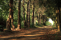 Batthyány-Geist-vadászkastély parkja