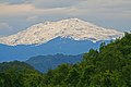 Snow in Monte Cimone (June 2006)