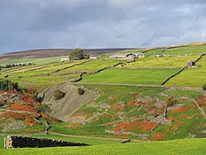 paysage de vallons à la végétation rase, parsemés de petites fermes et de murets de pierre et autant d'enclos à moutons.