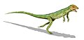 Eudibamus cursoris, primo rettile di cui si è scoperta la locomozione bipede[70]