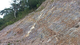 An outcrop of deformed Liminangcong chert along the Coron-Busuanga road near the Marina del Sol yacht club