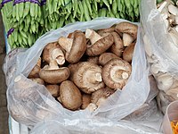 Fresh shiitake mushroom in the vegetable market in Hong Kong