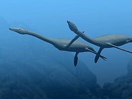 Plesiosaurus