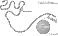 Pisipilt versioonist seisuga 8. oktoober 2007, kell 21:41