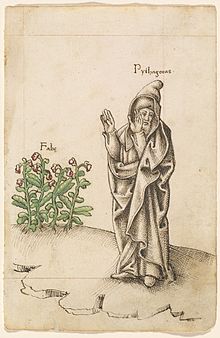 Gambar di manuskrip lama yang menunjukkan "Pythagoras" mengangkat tangannya dan membuang mukanya dari tumbuhan kacang