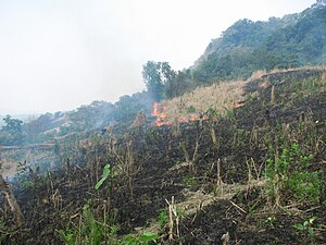 Arunachal Pradesh, India