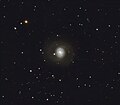 M77 в аматорський телескоп.