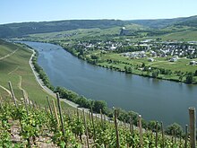 Mosel-bei-longuich.jpg