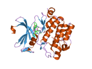 2j2i: CRYSTAL STRUCTURE OF THE HUMAB PIM1 IN COMPLEX WITH LY333531