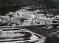 1955年的突尼斯體育館
