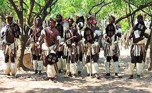 Swazi dancers with amahawu (singular: ihawu), or personal shields[6]: 30 
