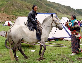 Nomade Tibétain et son cheval Hequ de type Jiaoke au Gansu, en Chine.