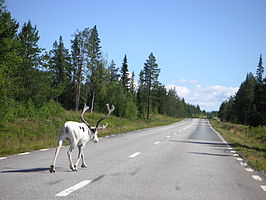 E45 in het noorden van Zweden