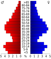 Bevolkingspiramide Kendall County