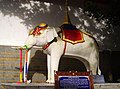 Der Weiße Elefant, der den Gründungsplatz des Tempels fand.