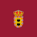 Bandera de Paredes de Nava