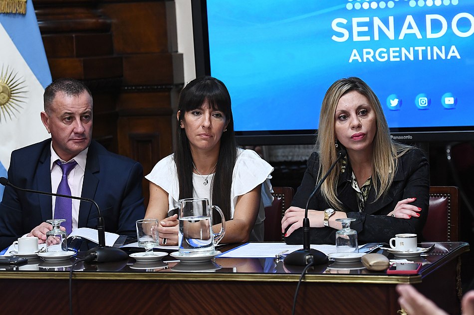 Comisión de Industria y Comercio - Senado de la Nación 16 de abril de 2019.jpg