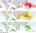 Image 19Global distribution of coral, mangrove, and seagrass diversity (from Marine ecosystem)