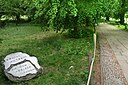 ☎∈ Memorial stone to Xu Zhimo at the Backs of King's College, Cambridge.