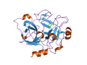 1zhp: Crystal Structure of the Catalytic Domain of Coagulation Factor XI in Complex with Benzamidine (S434A-T475A-K505 Mutant)