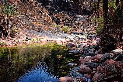 A wadi in Socotra