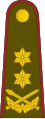 Generolas majoras (Lithuanian Land Forces)[38]