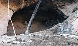 Acceso al arte rupestre en la cueva de los monos, Cucurpe Sonora