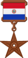 Medalje Paraguai