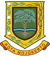 Brasão de armas de Mojokerto