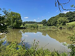 Oberer Teich in Papendell mit Blick an die nördl. Grenze des NSG