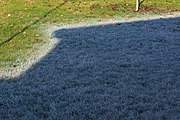 Frost melting while the sun rises