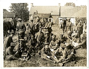 Horses and a large group of soldiers